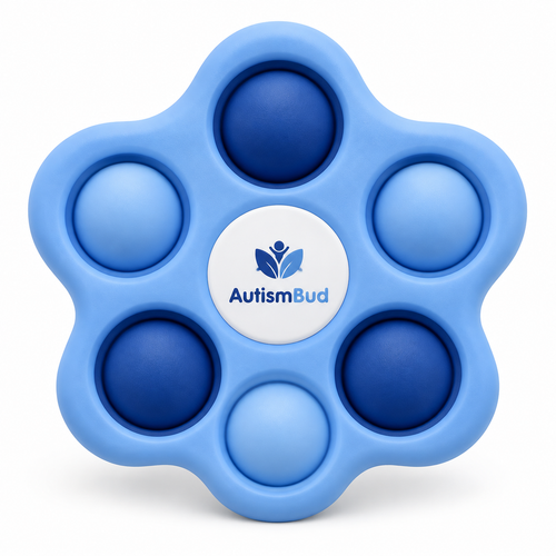 Sensory Fidget Toy