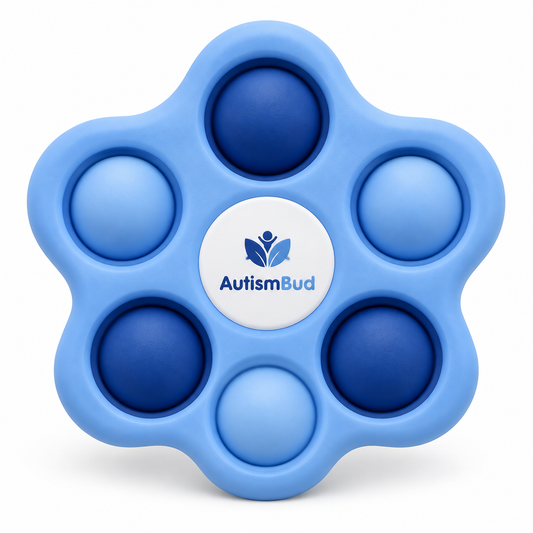 Sensory Fidget Toy